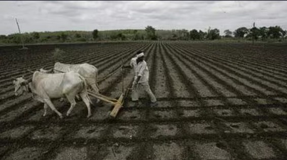 मानसून ने फिर पकड़ी रफ्तार, किसानों को राहत और खरीफ फसलों को संजीवनी की उम्मीद  janta24x7news